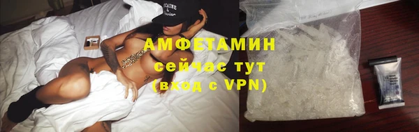 прущие грибы Пересвет