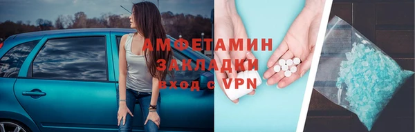 прущие грибы Пересвет