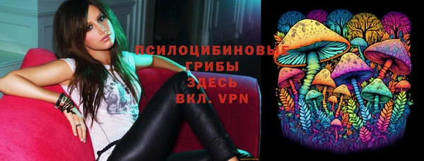 прущие грибы Пересвет