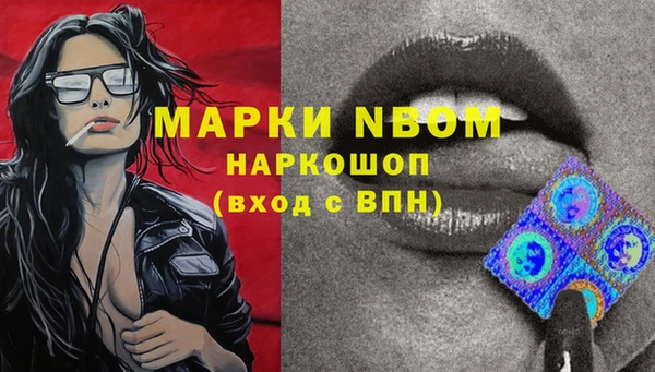 прущие грибы Пересвет