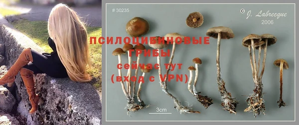СК Остров