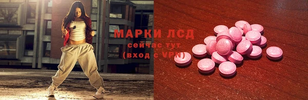 прущие грибы Пересвет